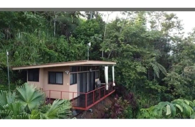 Tiny Home Above The Tree Tops