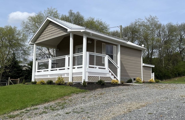 Tiny house and tiny horses