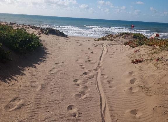 Tiny House en El Marquesado Playas del Sur de Mar del Plata