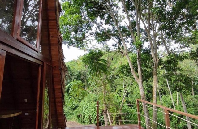 Tiny Houses Unique Tayrona
