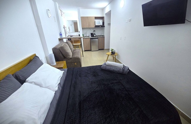 Tiny Loft Apt for up to 3 people