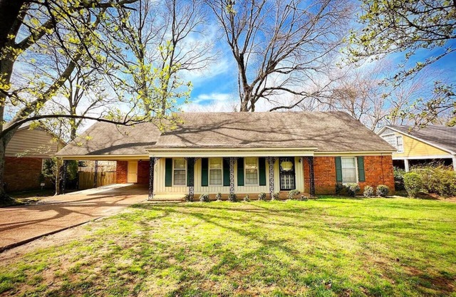 tn4BR Memphis Retreat Game Backyard Prime Location