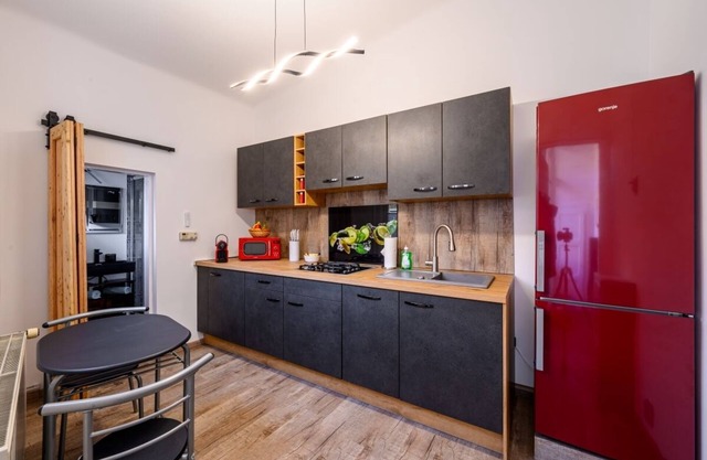 Top@Park, the luxurious apartment in the heart of Graz, with private parking