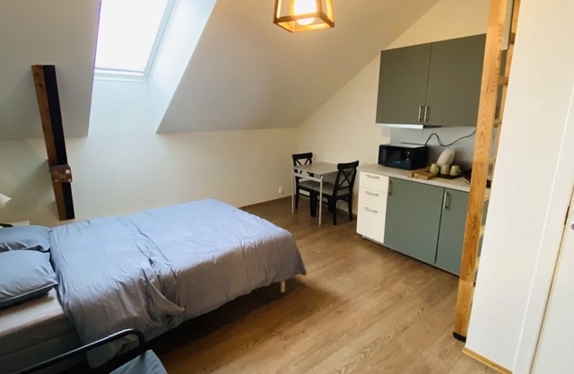 Torggata Apartments Oslo- Romslig Hel-studio Leilighet Midt i Oslo Sentrum