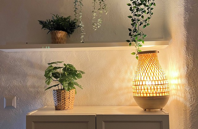 Townhouse Puentes 13.