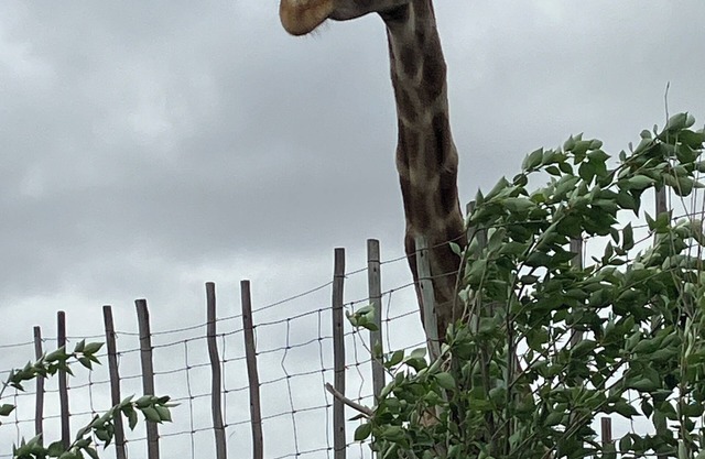 Tranquil Escape 1 Bedroom in Kuils River with WiFi & parking, 23km from Airport