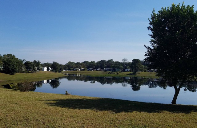 Tranquil Pet Friendly Mobile Home