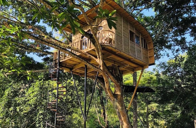 Tree house TOBIA near Bogota