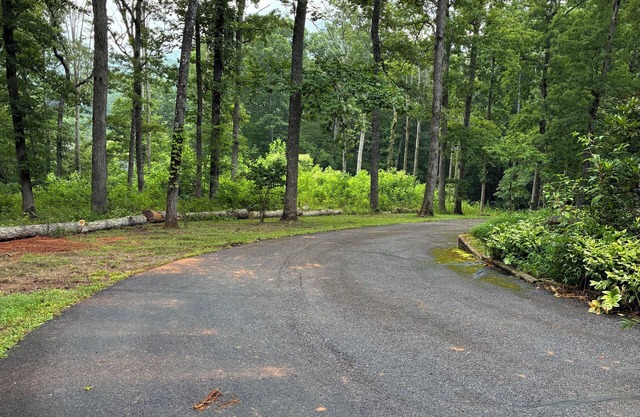 TREE HOUSE TREAT. Peaceful COMFY SECLUDED MOUNTAIN HOME surrounded by trees.