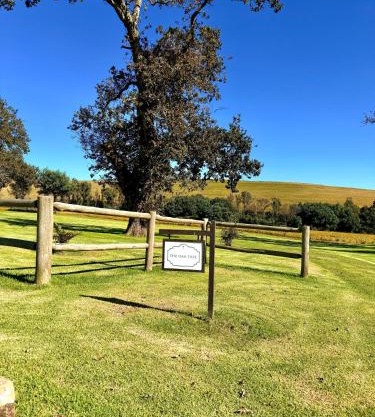 Treeferns Trout Lodge