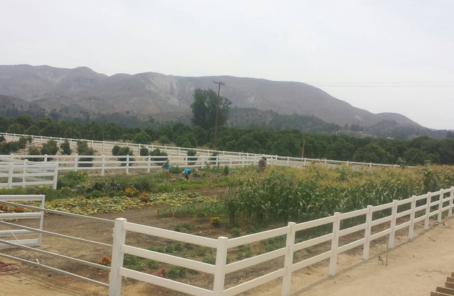 Treehouse and farm stay in Fillmore