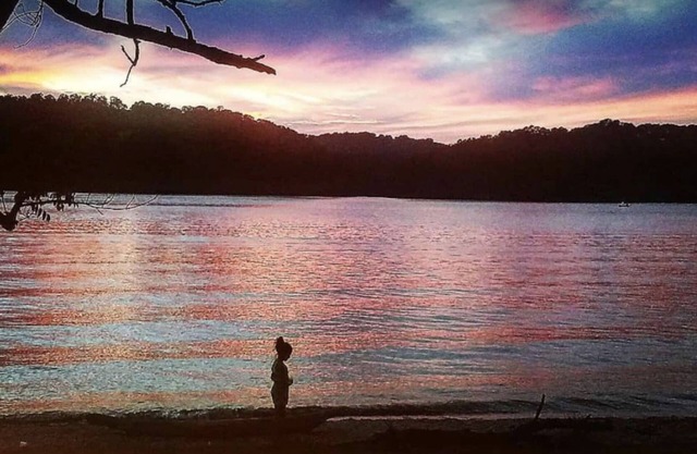 Treehouse by The Lake