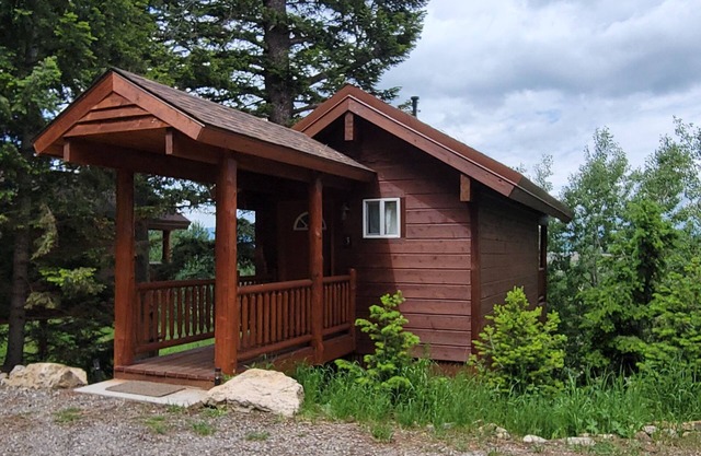 "Treehouse" Cozy retreat for 2! Yellowstone Park only 14 miles away.