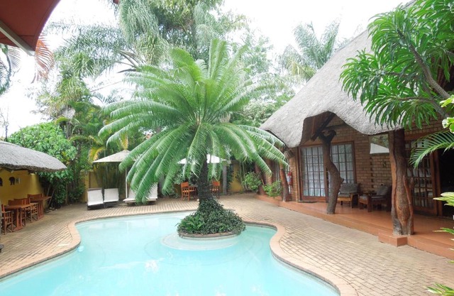 Trees Too Guest Lodge