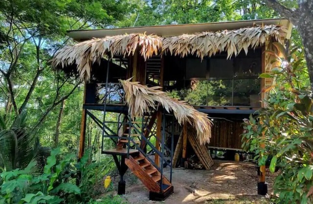 TreeTop Mansion, where the jungle meets the sea!