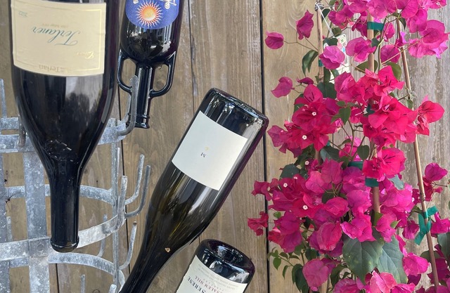 Treetop Studio Downtown Napa❤️ Modern Remodel of Vintage Home 🏡 GORGEOUS 🍷