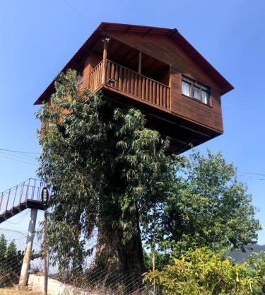 Trini Treehouse By GEstores