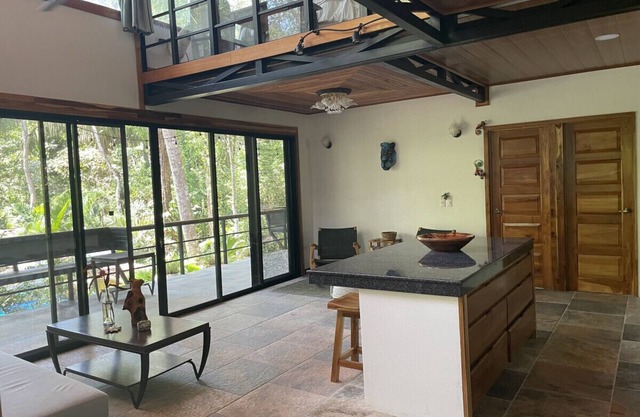 Tropical Forest View