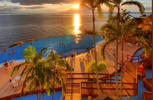 Tropical Executive Suit 1006