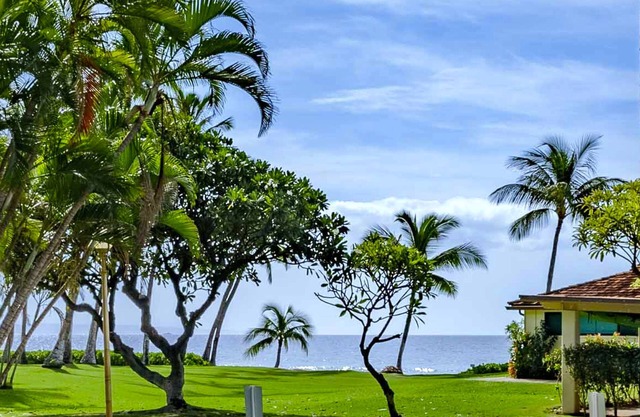 Tropical Oasis, Oceanview, new remodel, 3 bed, 3 bath, w AC, pool.