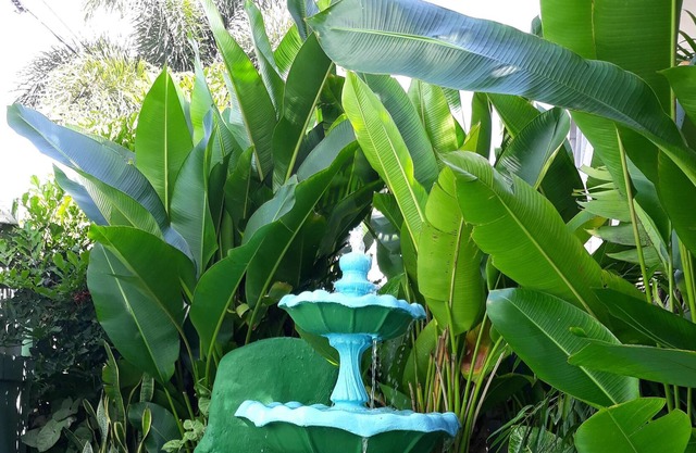 Tropical Petal Apt. for Two-w a/c, k-sized bed TV, super wi-fi.
