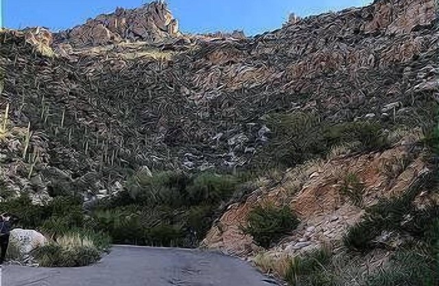 Truly enchanting! Superior upgrades, great location and community amenities.