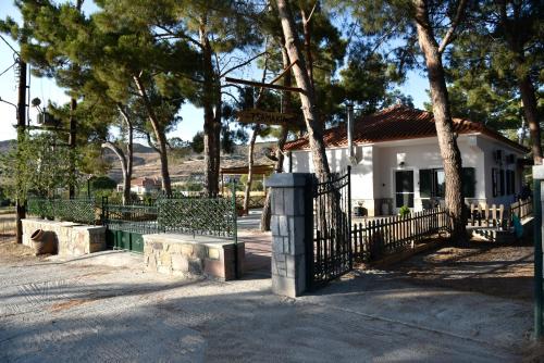 Tsamakia