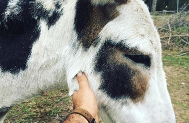 Turicum AT Monkey Rock Winery & Cider