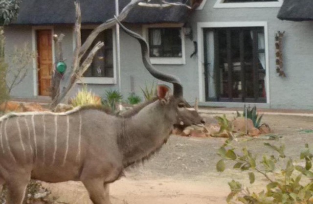 Twenty Four Mabalingwe Nature Reserve