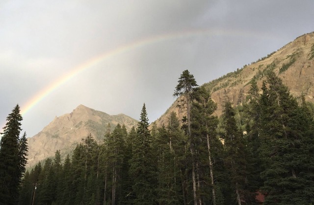 Twisted Twig Loft: Family trips to Yellowstone are great!