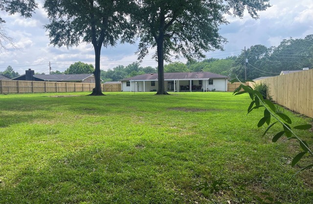 Two Oaks Near Campus