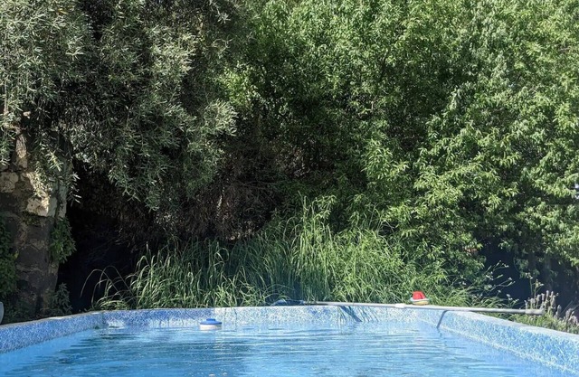 Two unique rooms in a courtyard garden, Rosh Pinna