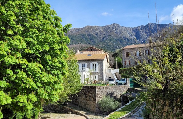 Typique Maison Corse Entre Montagne et mer