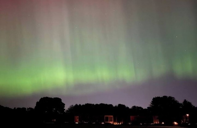 Unbox at Poplar Tree: Poplar (1)