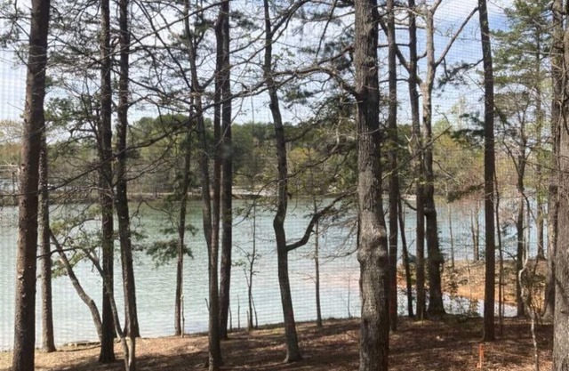 Uncork, Unwind, Relax @ this Family & pet Friendly Lake Home #1