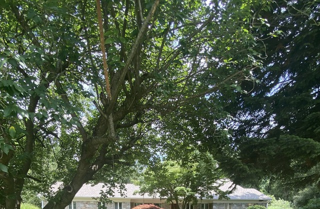 Unique Private Oasis