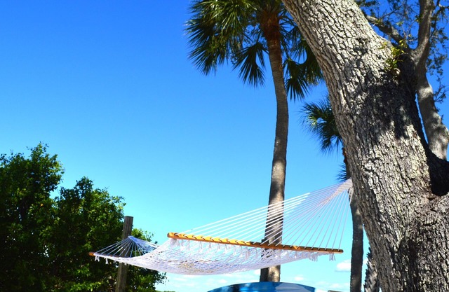 Unique resort workspace guesthouse Nature 2ppl kayaks fishing beachfront