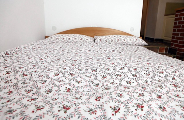 Unique Studio Apartment in Štanjel