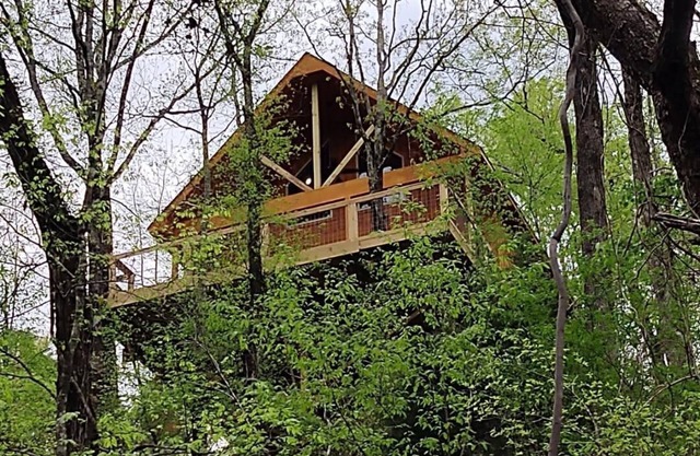 Unique Treehouse property at Lake Catherine. Lake toys included.