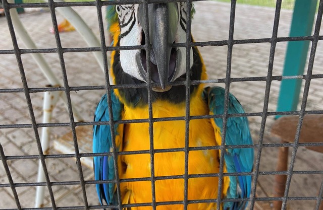 Unique upper level 2-bedroom farm retreat on 13 acres parallel to The Villages