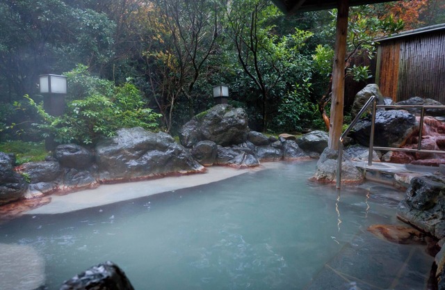 UNZEN HANZUIRYO