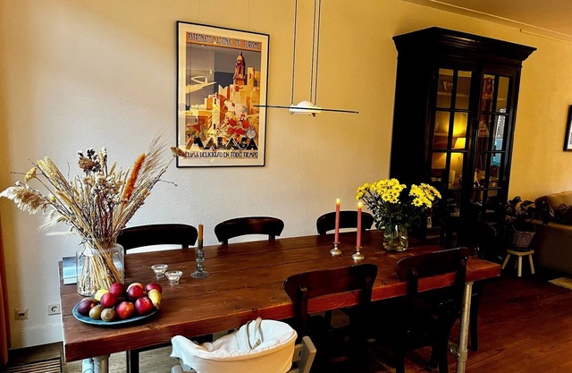 Utrecht - spacious family house near city center