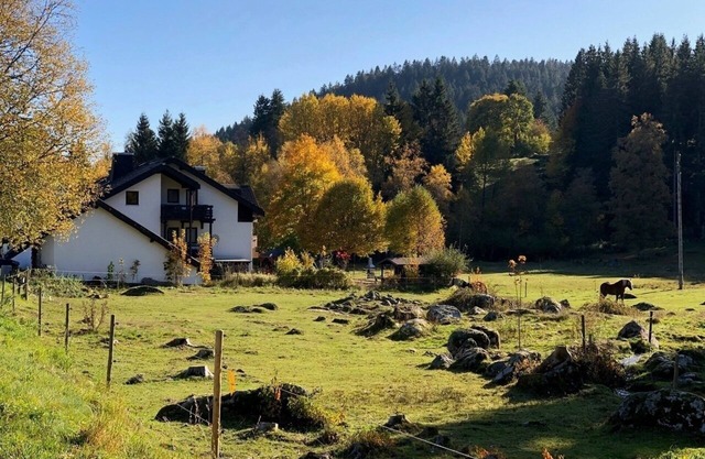Vacation apartment/apartment for 4 guests with 43m² in Schluchsee (268609)