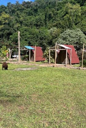 Vale do Rio Bonito Glamping