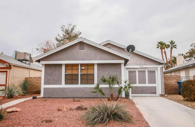 Vegas Vibes Your Perfect Escape Come EnjoyItHere