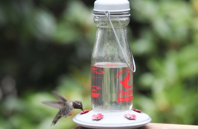 Victorian in a Great Neighborhood