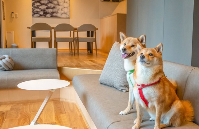 VILLA 105 Pets allowed/Aso-gun Kumamoto