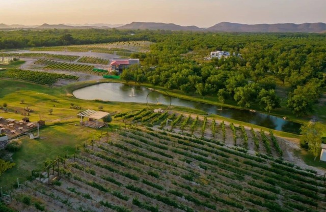 Villa 4BR Pueblo Parvada