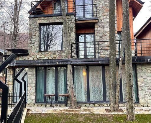 Villa Brezovica near skiing center