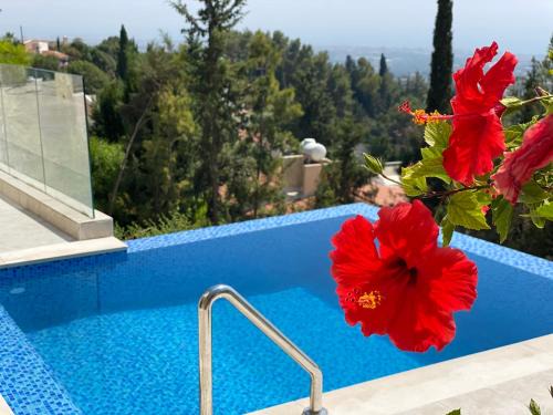 Villa Eirini Kamares Tala Luxury Sea View